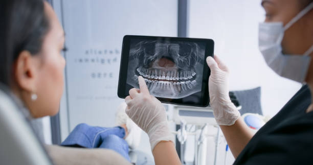 Professional Dental Services in North Weeki Wachee, FL